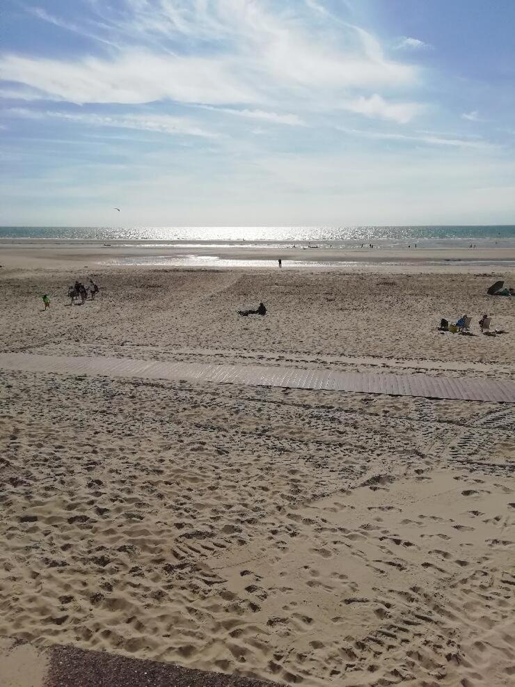 T3 Rez-De-Chaussee Lumineux Avec Terrasse Proche Plage Cucq Exteriör bild