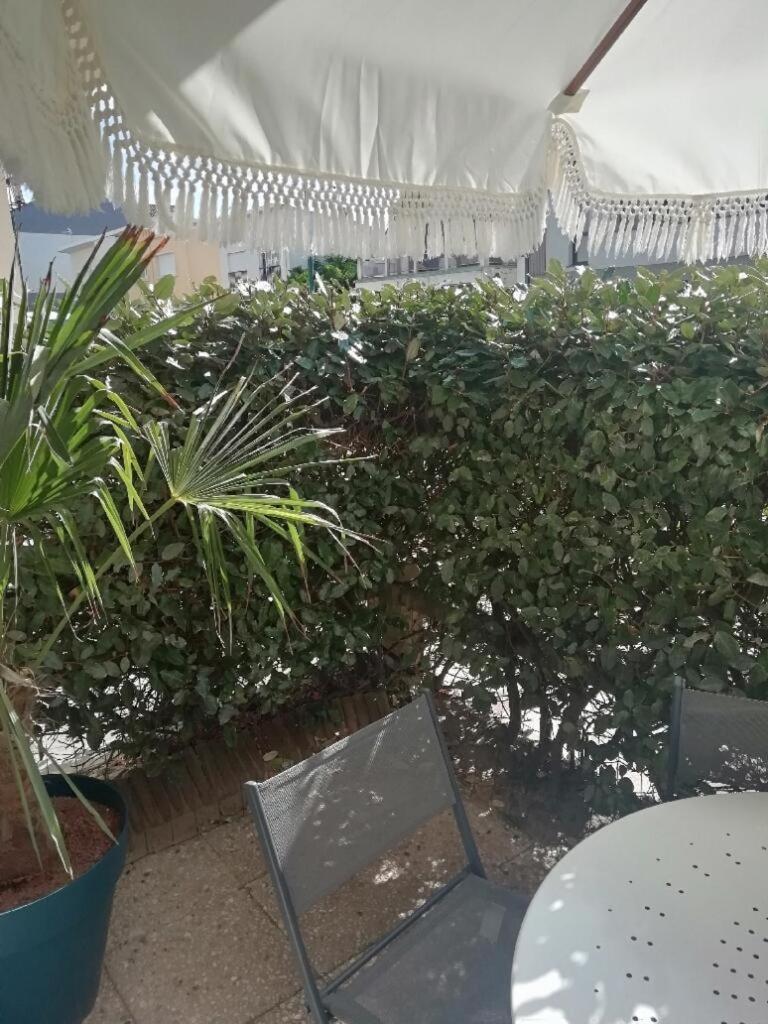 T3 Rez-De-Chaussee Lumineux Avec Terrasse Proche Plage Cucq Exteriör bild