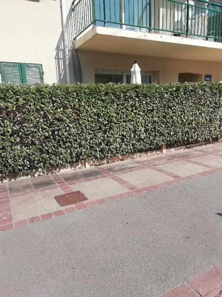 T3 Rez-De-Chaussee Lumineux Avec Terrasse Proche Plage Cucq Exteriör bild